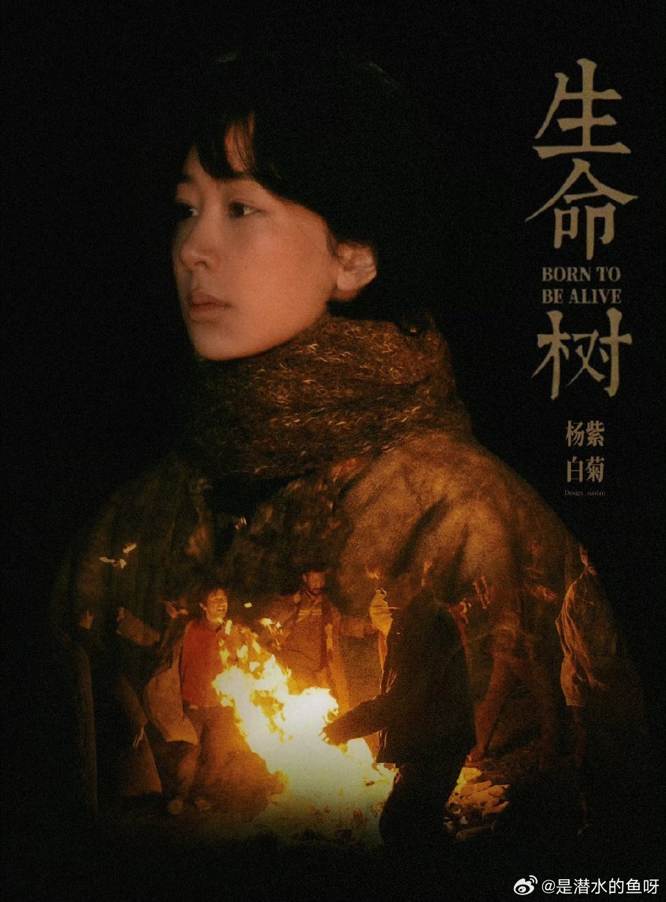 生命树 yz杨紫白菊yz杨紫生命树 目光所及都是你，亿万星辰犹不及。杨紫白菊｜杨