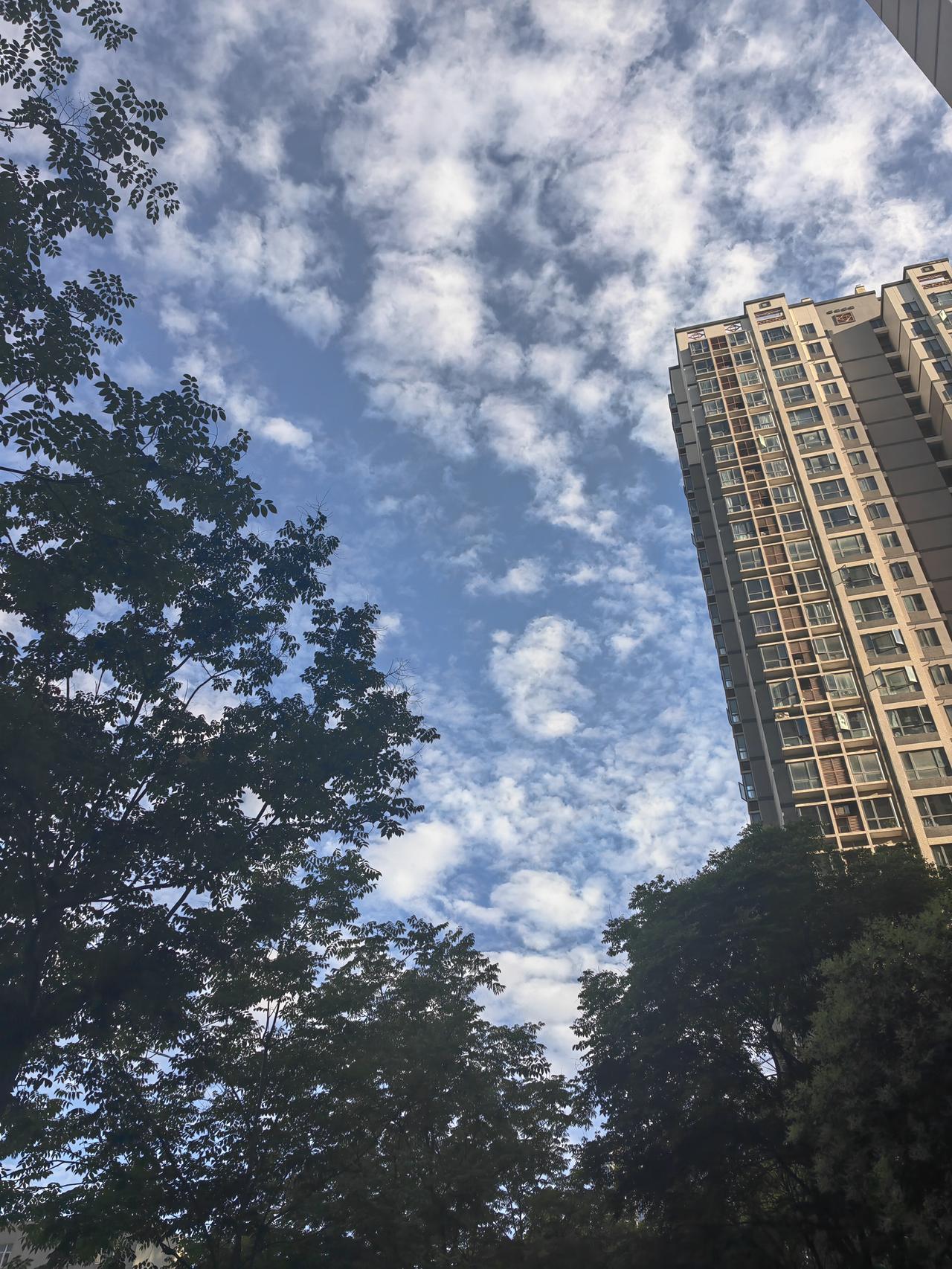 今天送小朋友去上英语课，刚走出单元楼，一抬头就被惊艳到了！
 
西安的天空蓝得透