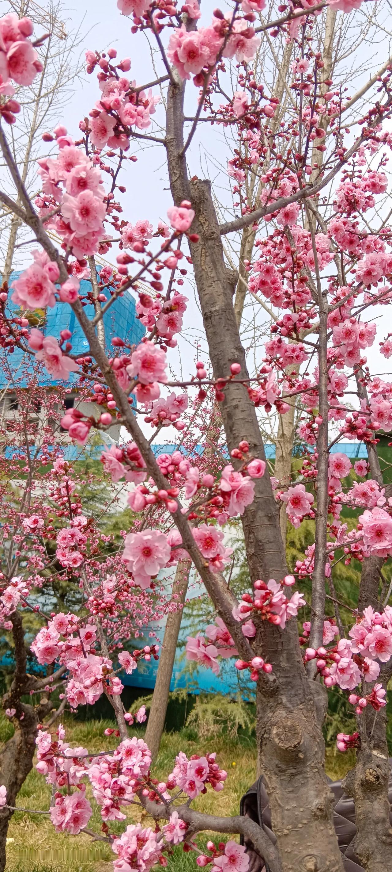 如今的我，非常想让脑子变得像手机一样，把不愿意记住的东西和人名都能删除出去，以减