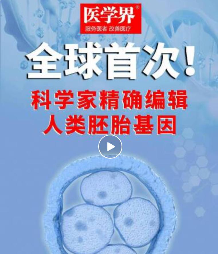 近日美国哥伦比亚大学团队完成人类胚胎高精度碱基编辑实验，成果刊发于预印本平台 b