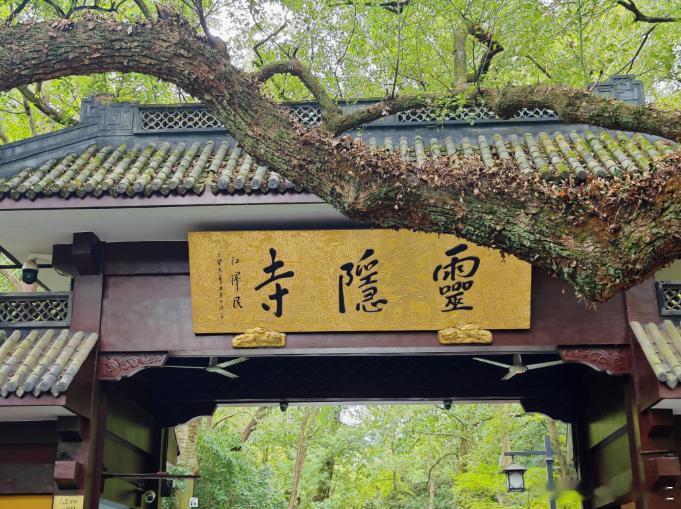 杭州西湖风景名胜区11月19日发布通告称，自2025年12月1日起，灵隐飞来峰景