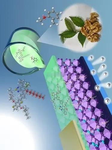 钙钛矿电池之核心个股钙钛矿电池概念产业链，完整覆盖了“上游材料-中游设备-下游电