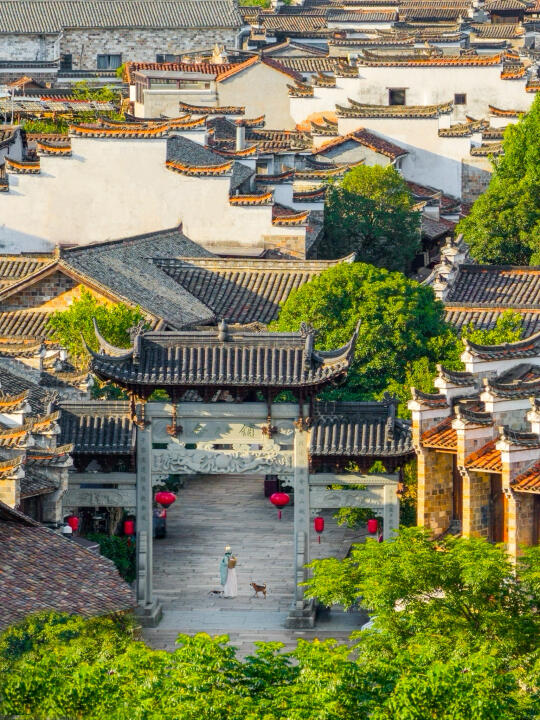 衢州会惩罚每一个不做攻略的小饼干❗️🔥🔥