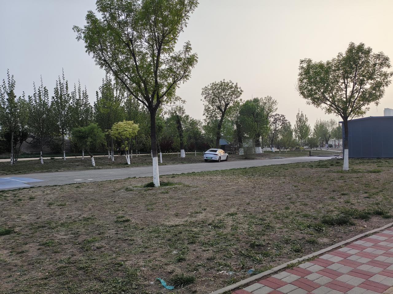 这是哪里？[呲牙][呲牙][呲牙]，子牙河边，溜达一下，不着急回家。
     