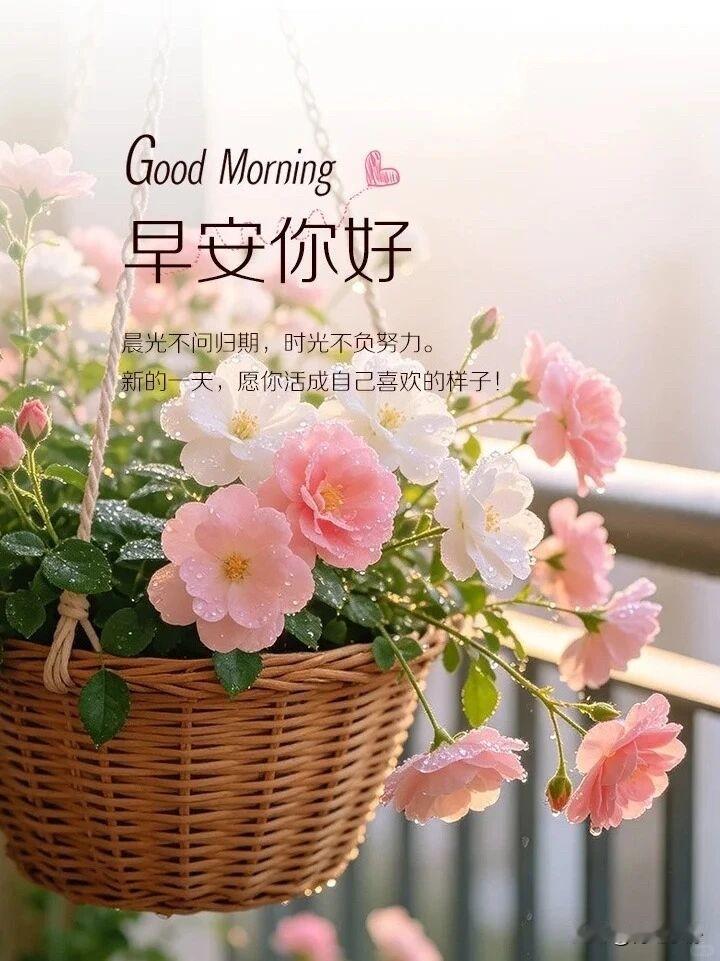 🍂2026/08/16ᵕ̈ 周日｜浅秋安暖☕️🍒🍑
晨风吹散余下暑热，
浅