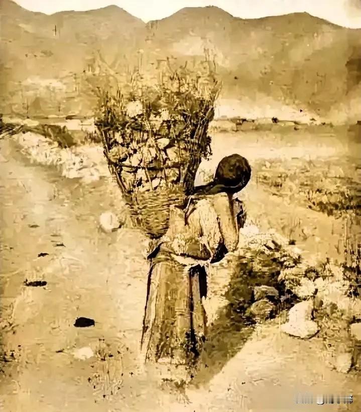 禁封？禁言？还是润出去了？
曾经被“经济学家”宋某吹为“头条勇士”的谢小宛去哪儿