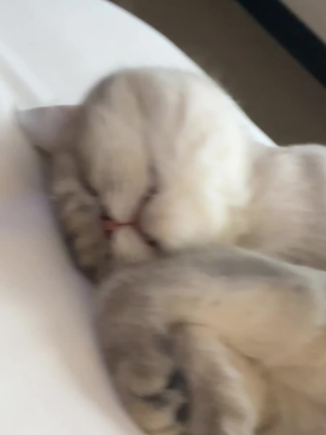 感知幸福的能力是上天赐予的礼物，把一切琐碎平常，挥挥手化作明媚一场～