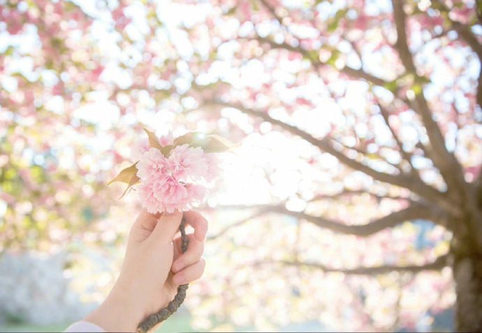 一定要爱着点儿什么，恰似草木对光阴的钟情。——汪曾祺《人间草木》 ​​​