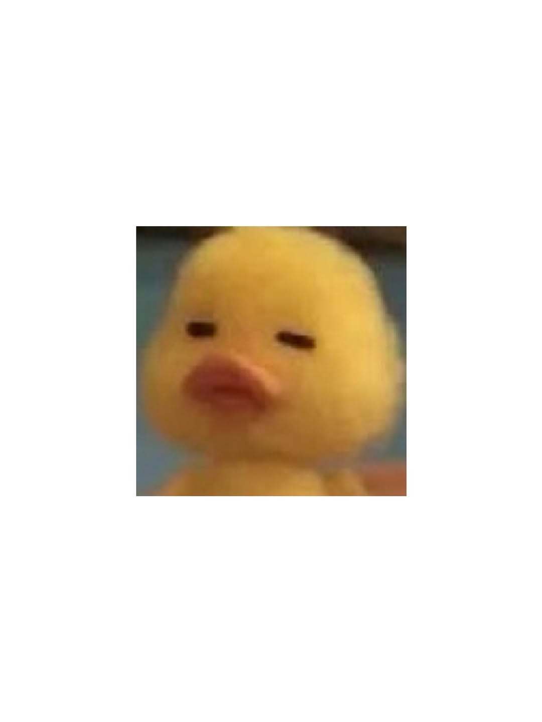 “CB百蓝_。260617利特 ins story+IG更新：噢啊🐥🐣🐤 