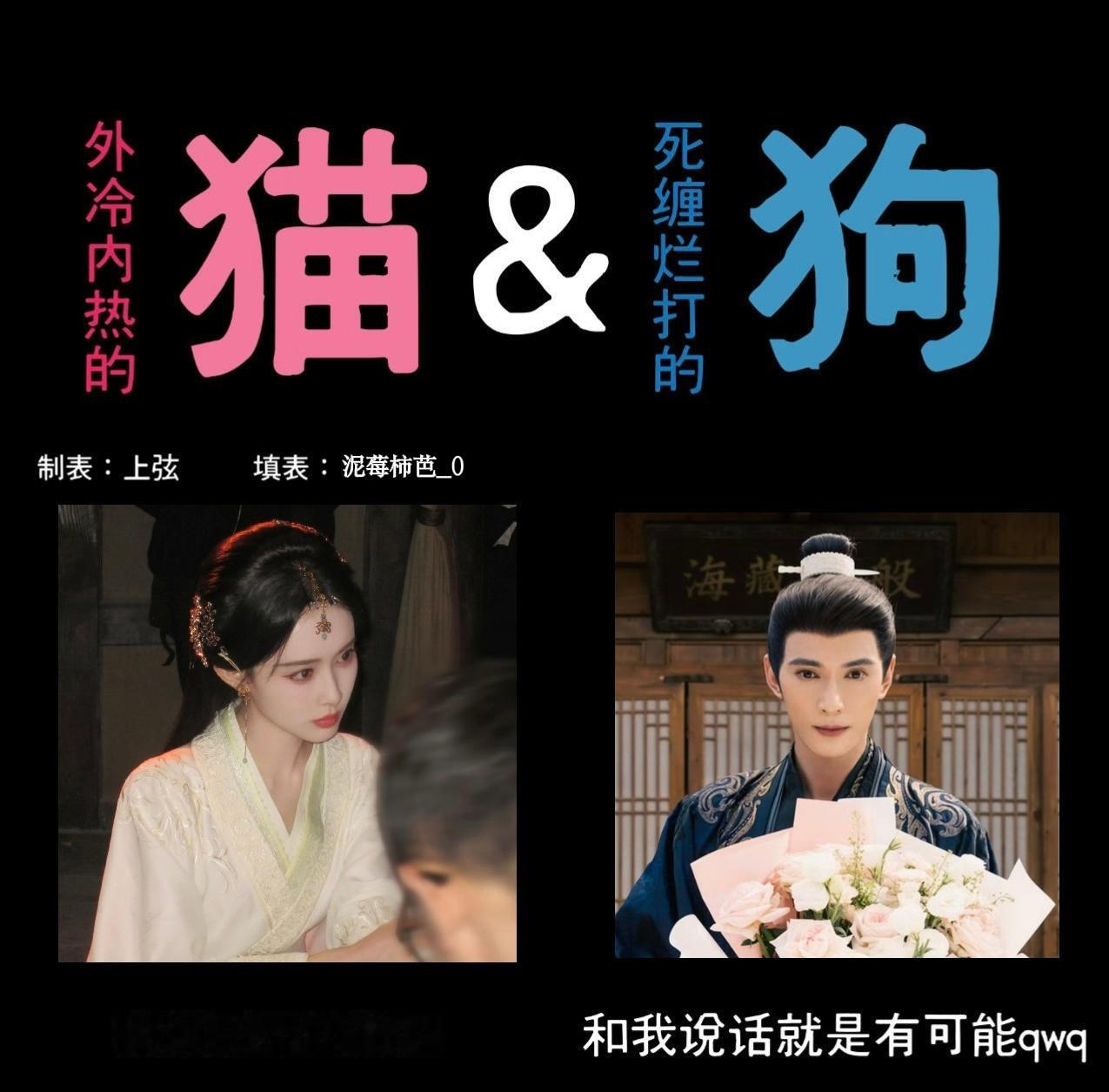沈汐和误入狗舍👀 