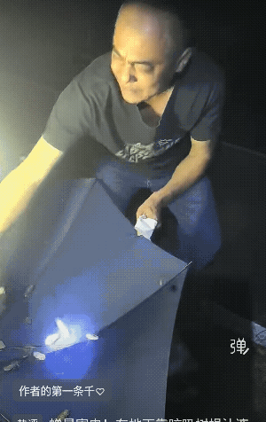 蝉叫声太吵啦！能抓住也不错![捂脸]