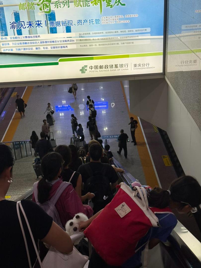 出发送两娃入营我要解放啦 