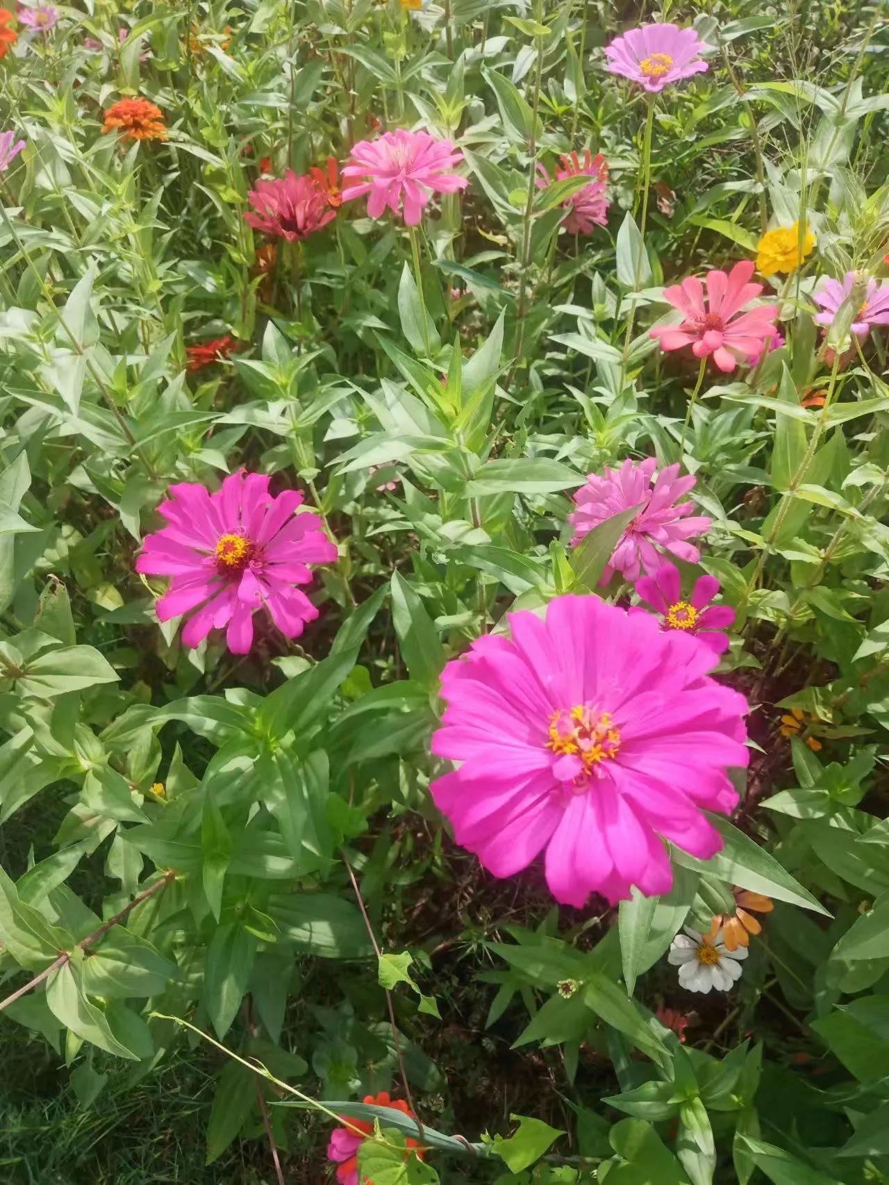 “书如繁星耀心间，文字之海任游翩。”

拿起一本书，那便是踏入了另一个时空的旅程