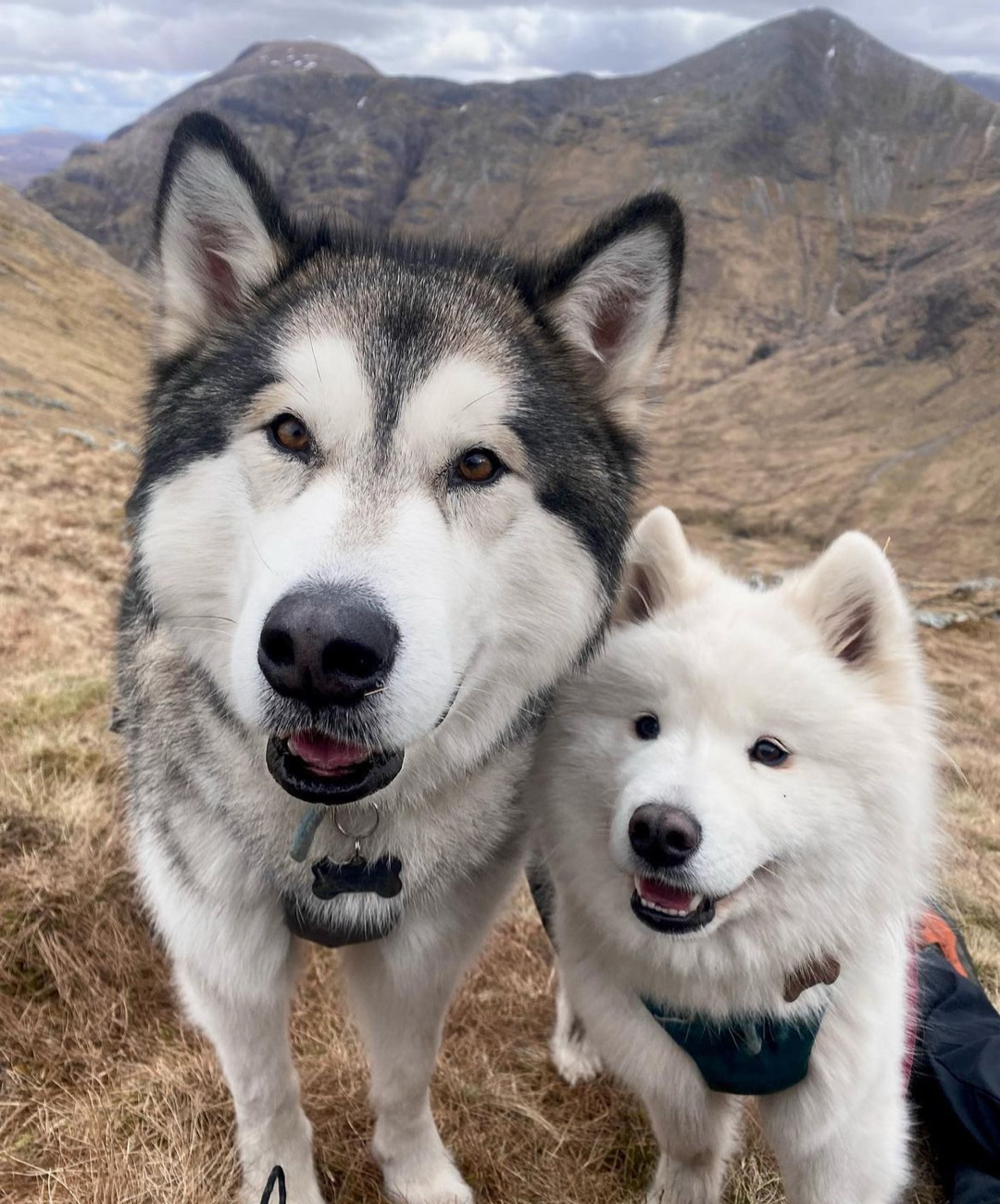 你谁啊？干嘛摸我们家耶耶，鬼鬼祟祟的，耶耶我们走，这种拿着麻袋的一看就不是什么好
