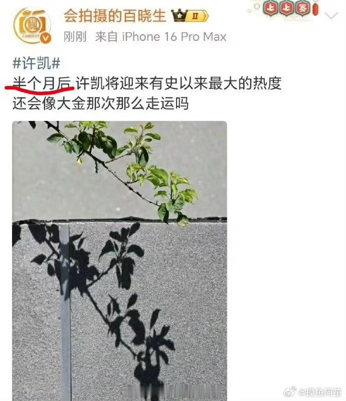 狗仔说半个月之后许凯会迎来有史以来最大的热度，也是让他蹭上热度了…… ​​​