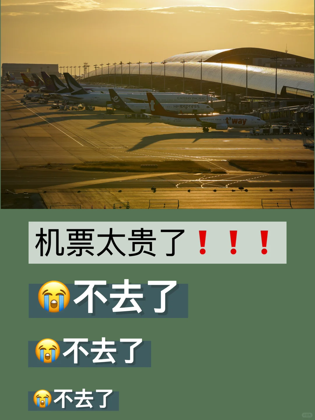 骂机票真有用❓我也来试试❗️