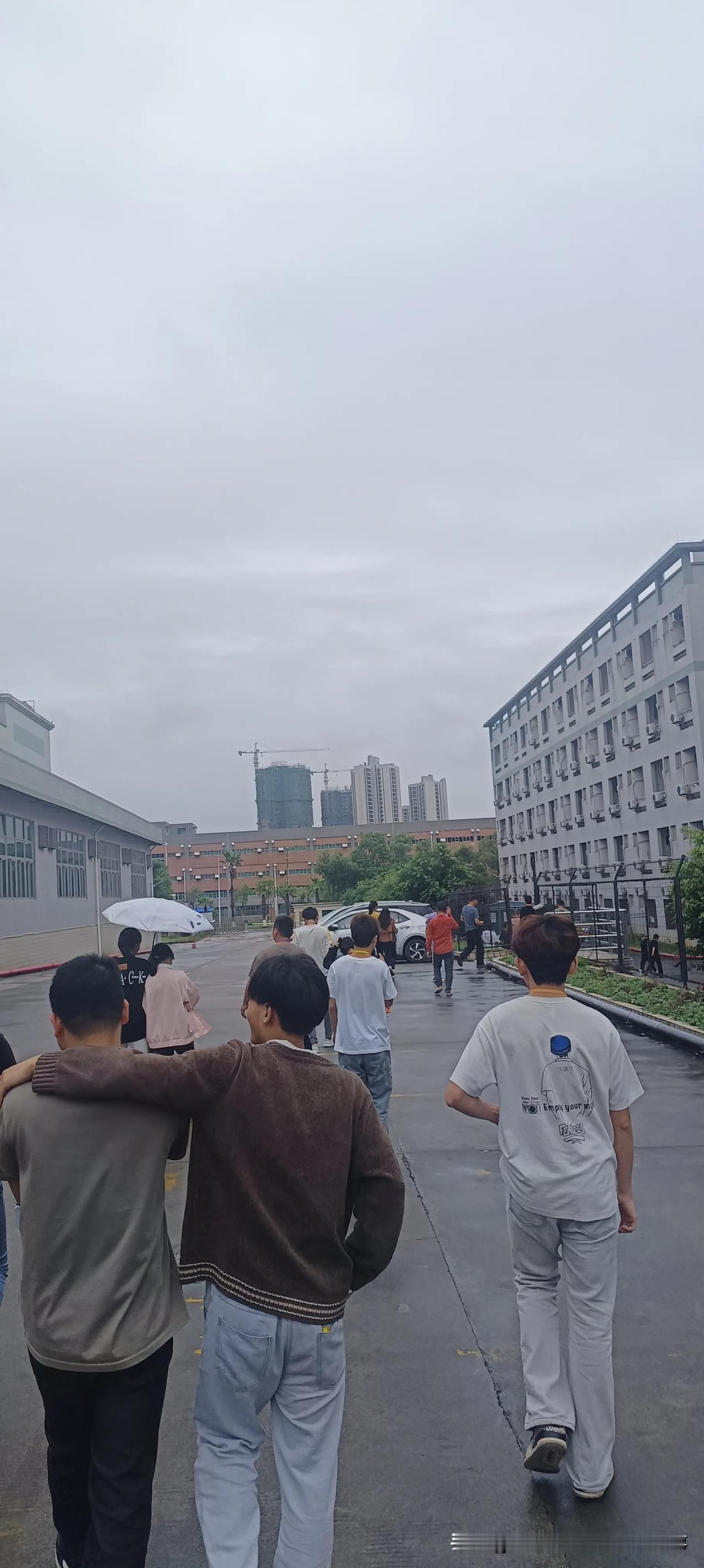 柳暗花明又一厂