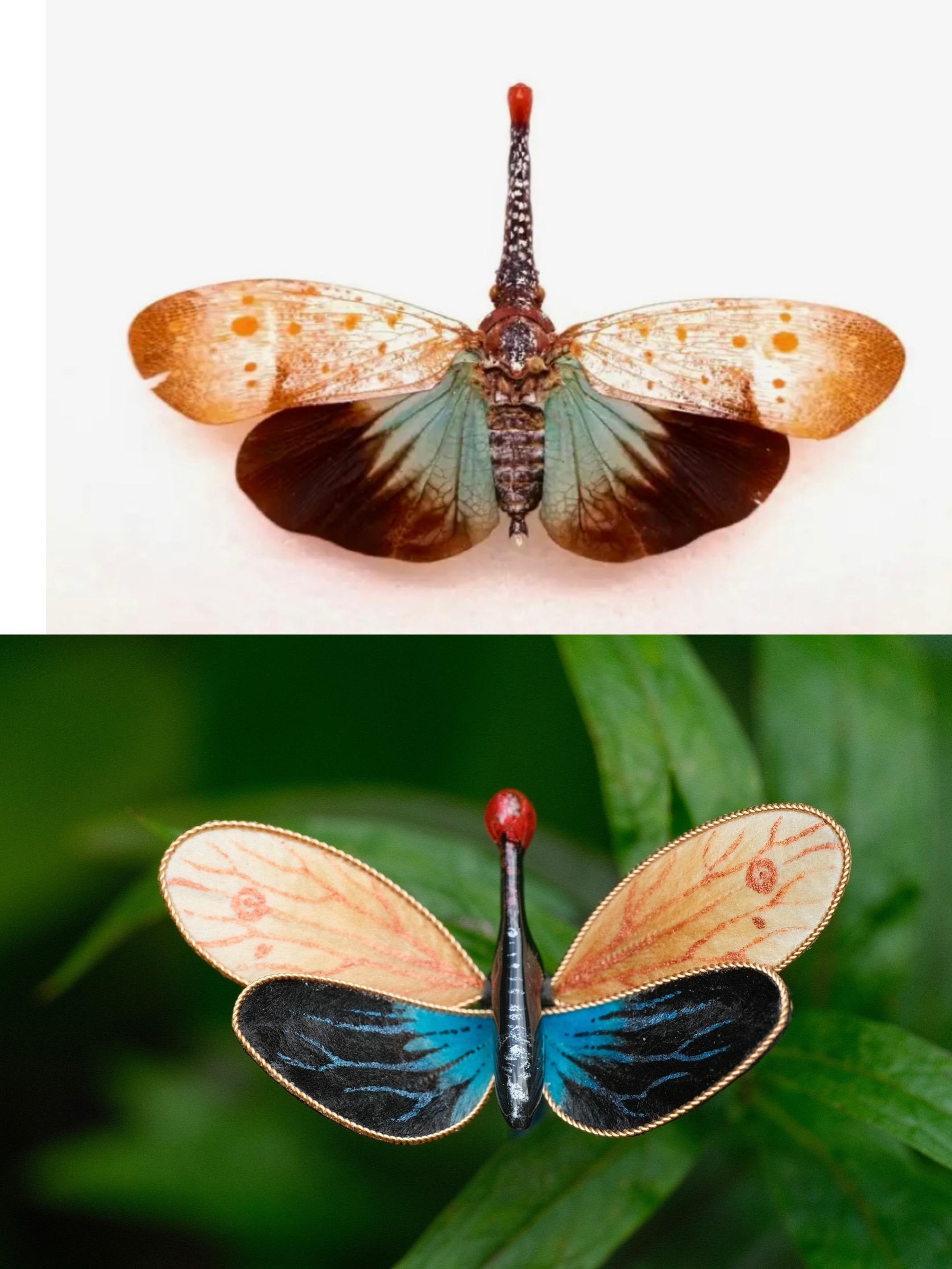 用绒花做一只小众昆虫，蜡蝉。一只可爱的小红鼻头～ 蜡蝉科的各种撞色和点...