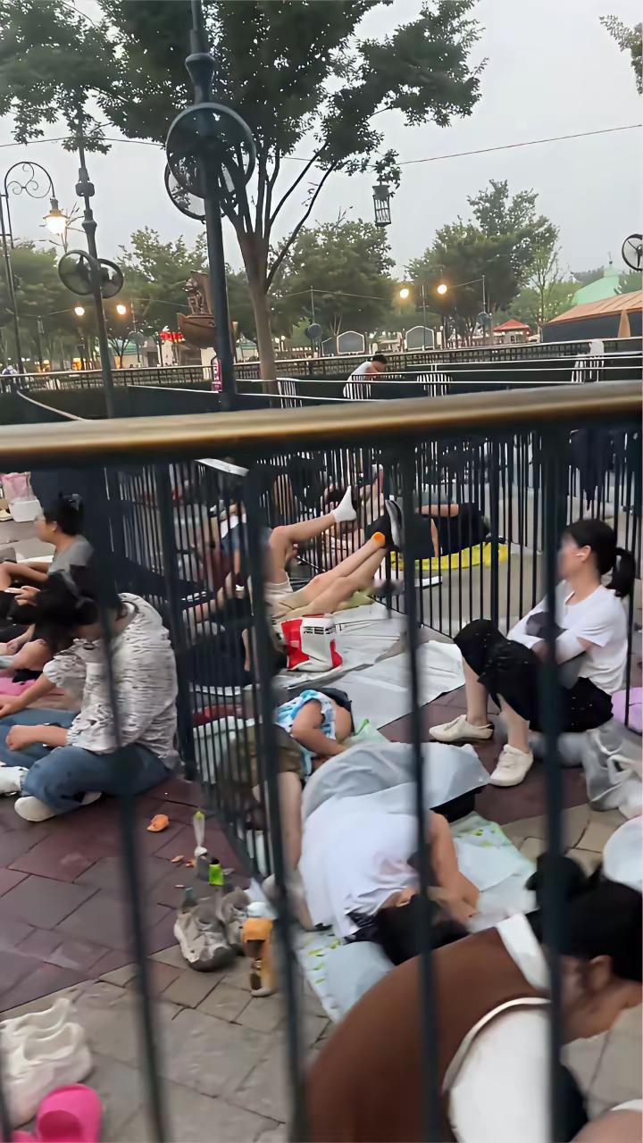 人家只管赚钱，游客排队的累迪士尼管你这那的！要是真为游客考虑，那就每天限制人数入