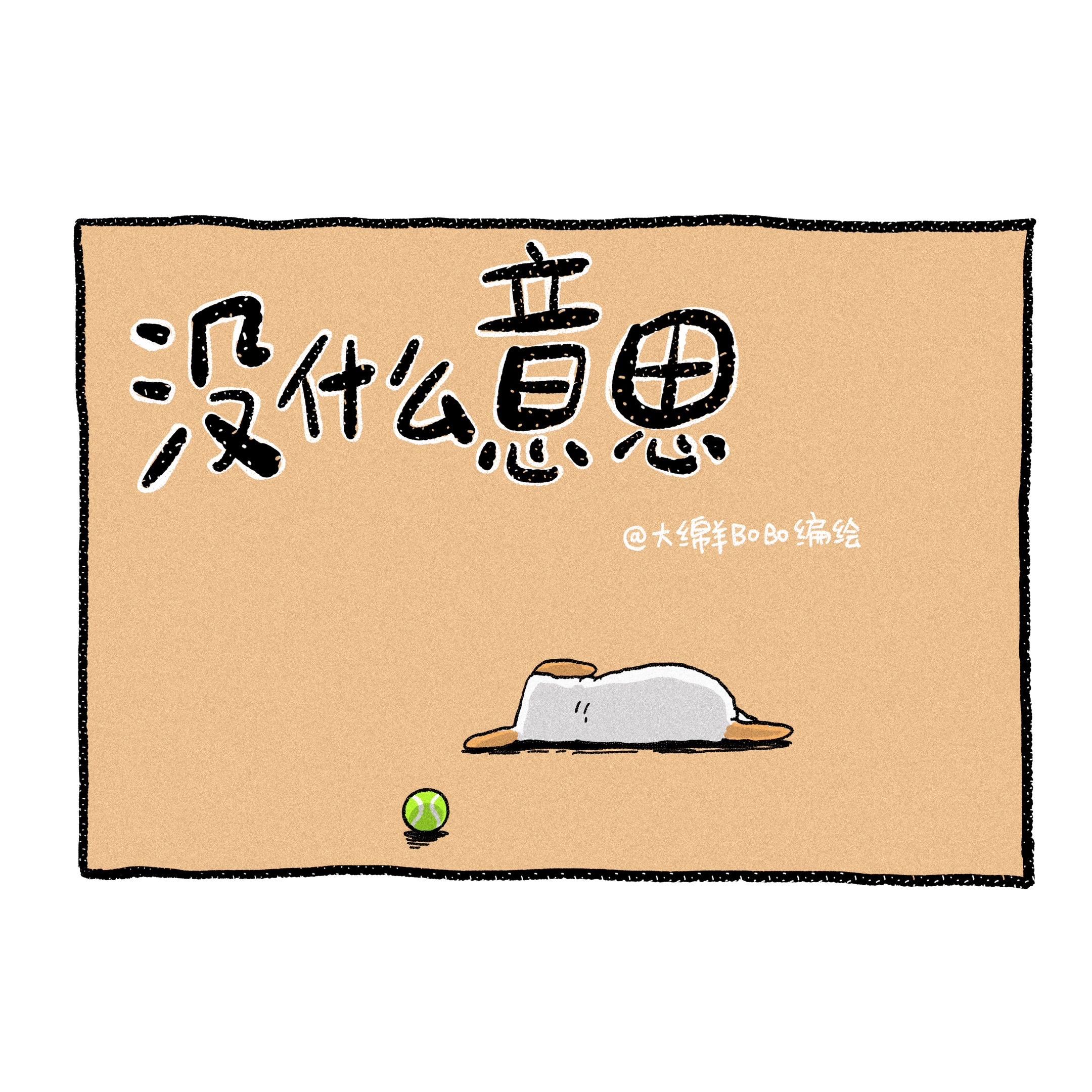 你不在家的时候。“我搞砸了一切……” 前几天翻看小乓小时候调皮拆家的照...