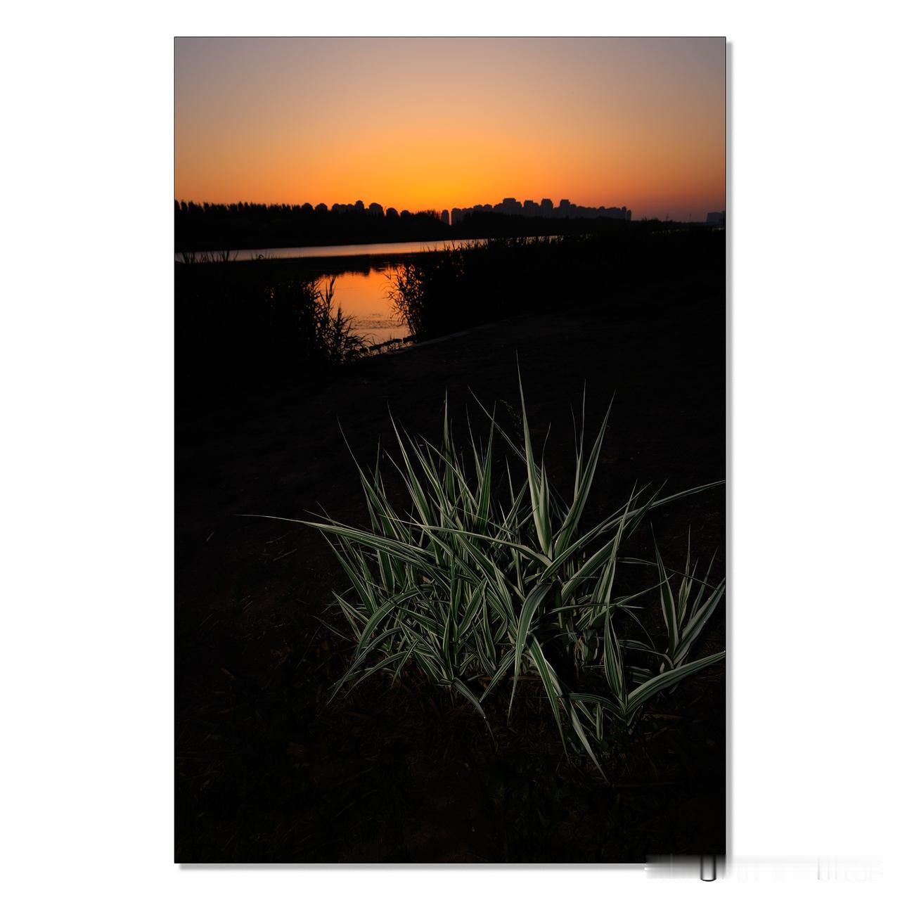 老王的照片分享068
拍摄于天津海河，大约凌晨4:30
使用了闪光灯，离机闪
打