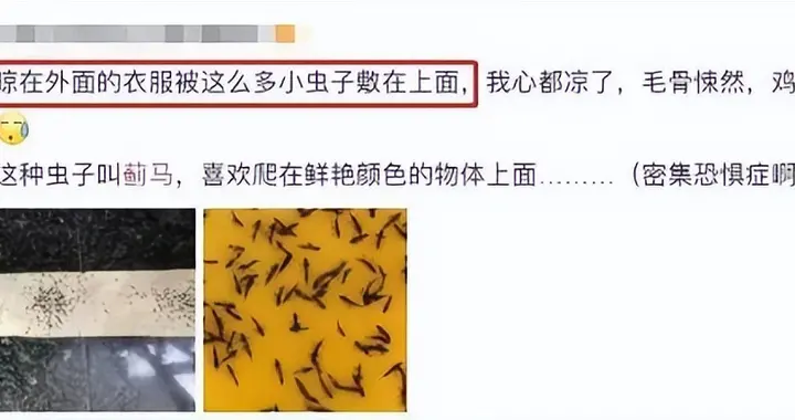 注意！最近少穿这种颜色的衣服出门