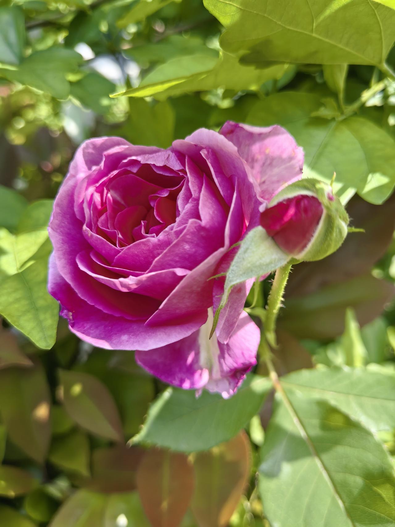 现在的女孩子想找个理想的对象真难。

表侄女03年的，江浙沪独生女，去年师范大学