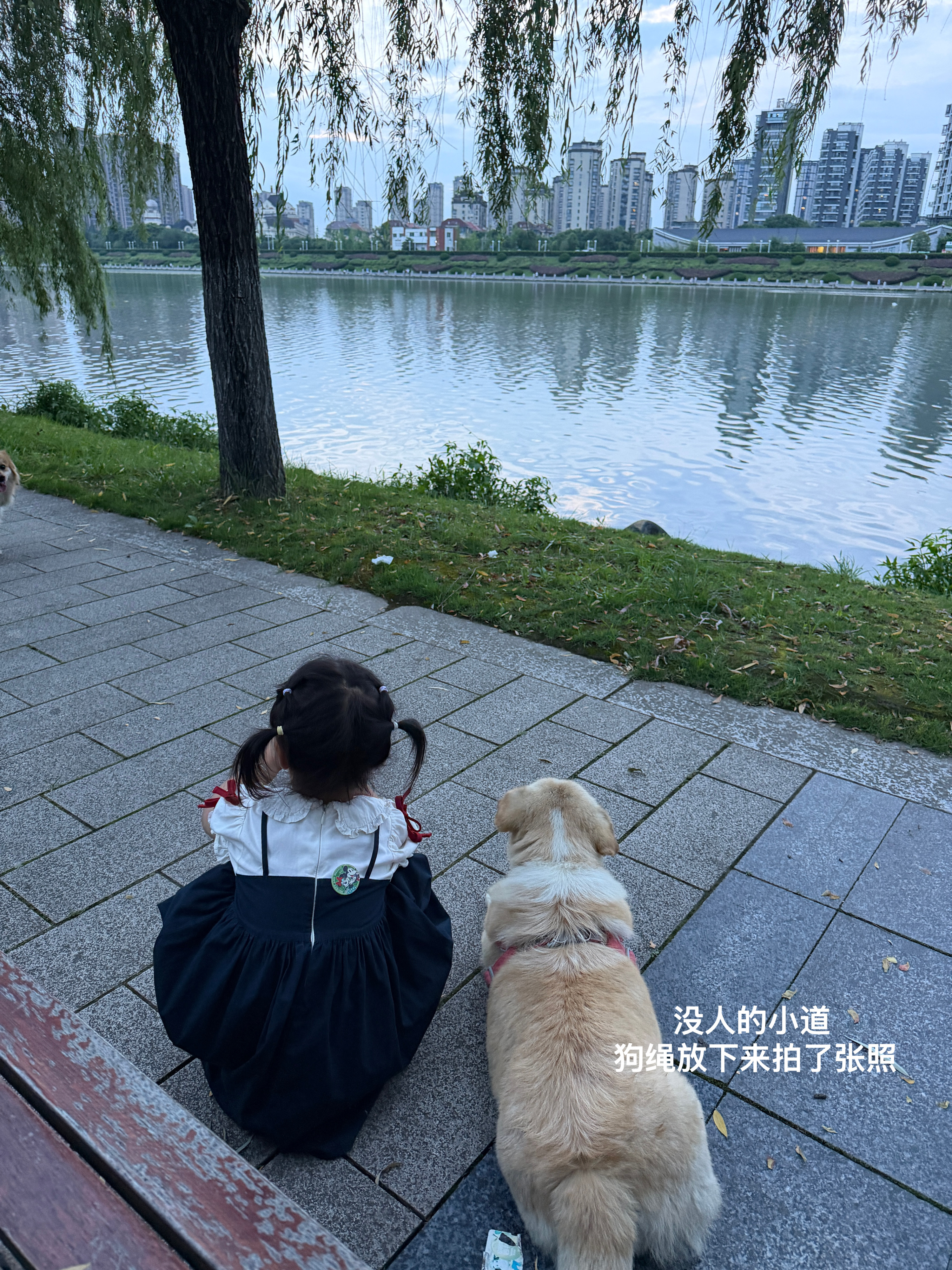 3岁的女儿和8岁的小狗都是我时间的参照物 