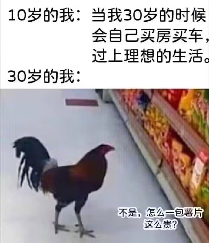 不是，一包薯片这么贵？ ​​​