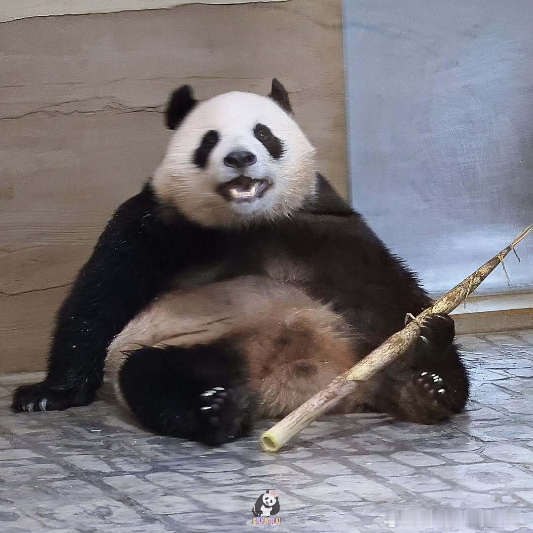 每天早起打卡早安～ 
