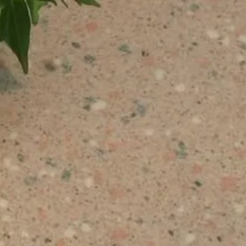种植 🍃富贵树的种植方法和注意事项一、土壤要求大家可以选择用粗砂、蛭石、腐殖土