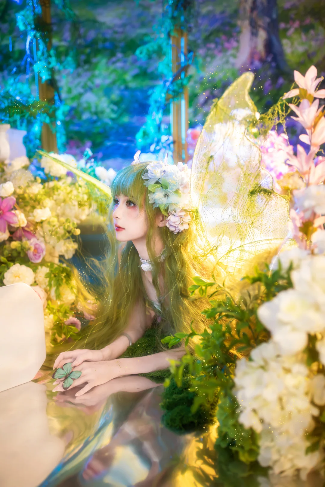 🦋蝴蝶精灵🦋