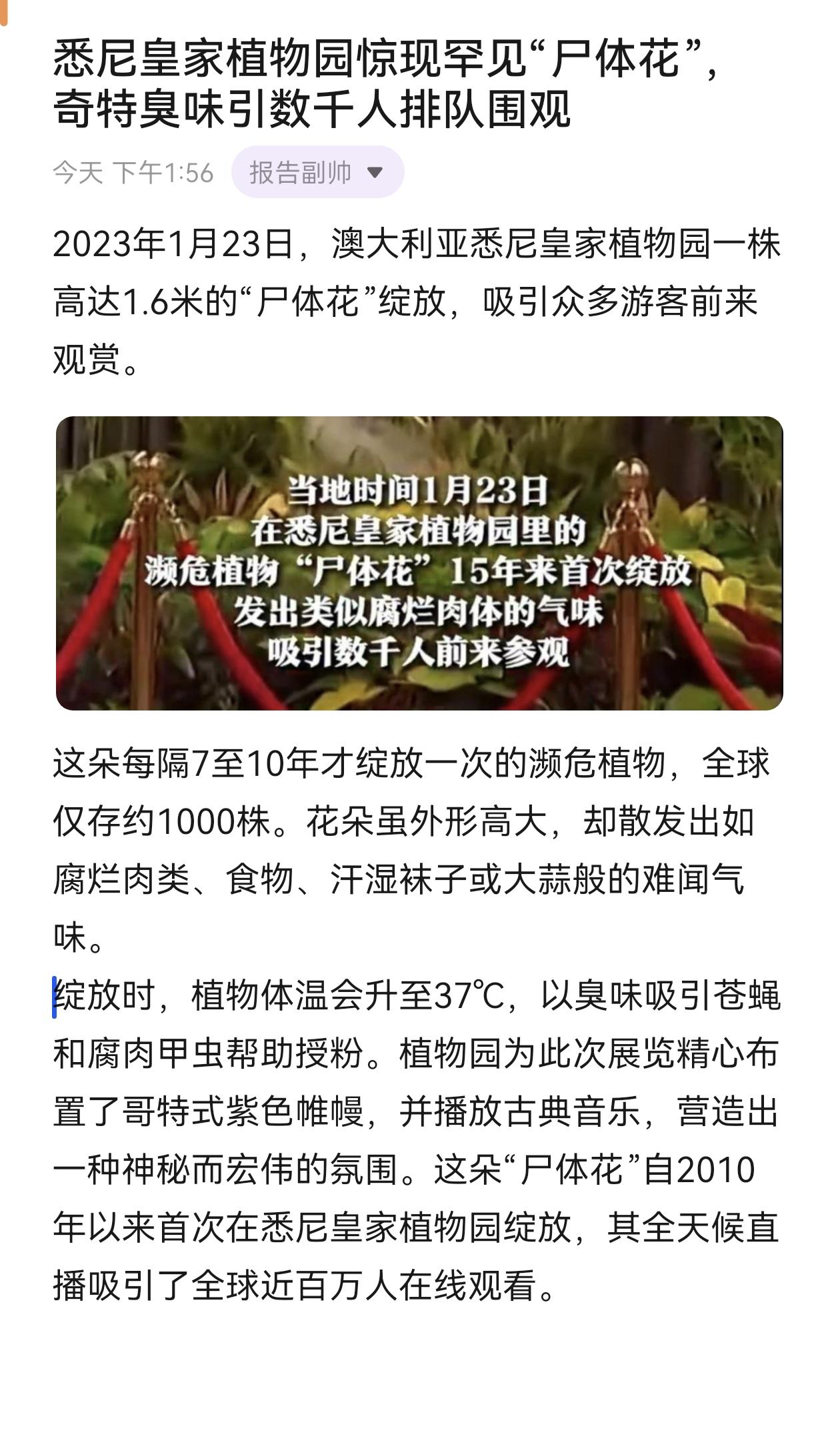 悉尼皇家植物园惊现罕见“尸体花”，奇特臭味引数千人排队围观 奇葩冷知识 国际新闻