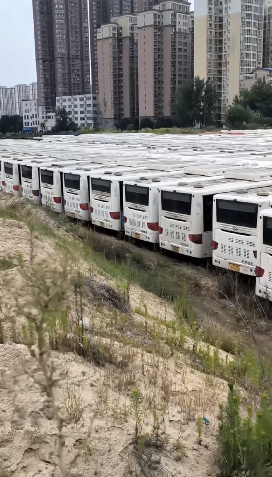 燃油大巴的最终的归宿难道只能躺在这种空地上吗？
能不能继续余热，比如低价出售给国