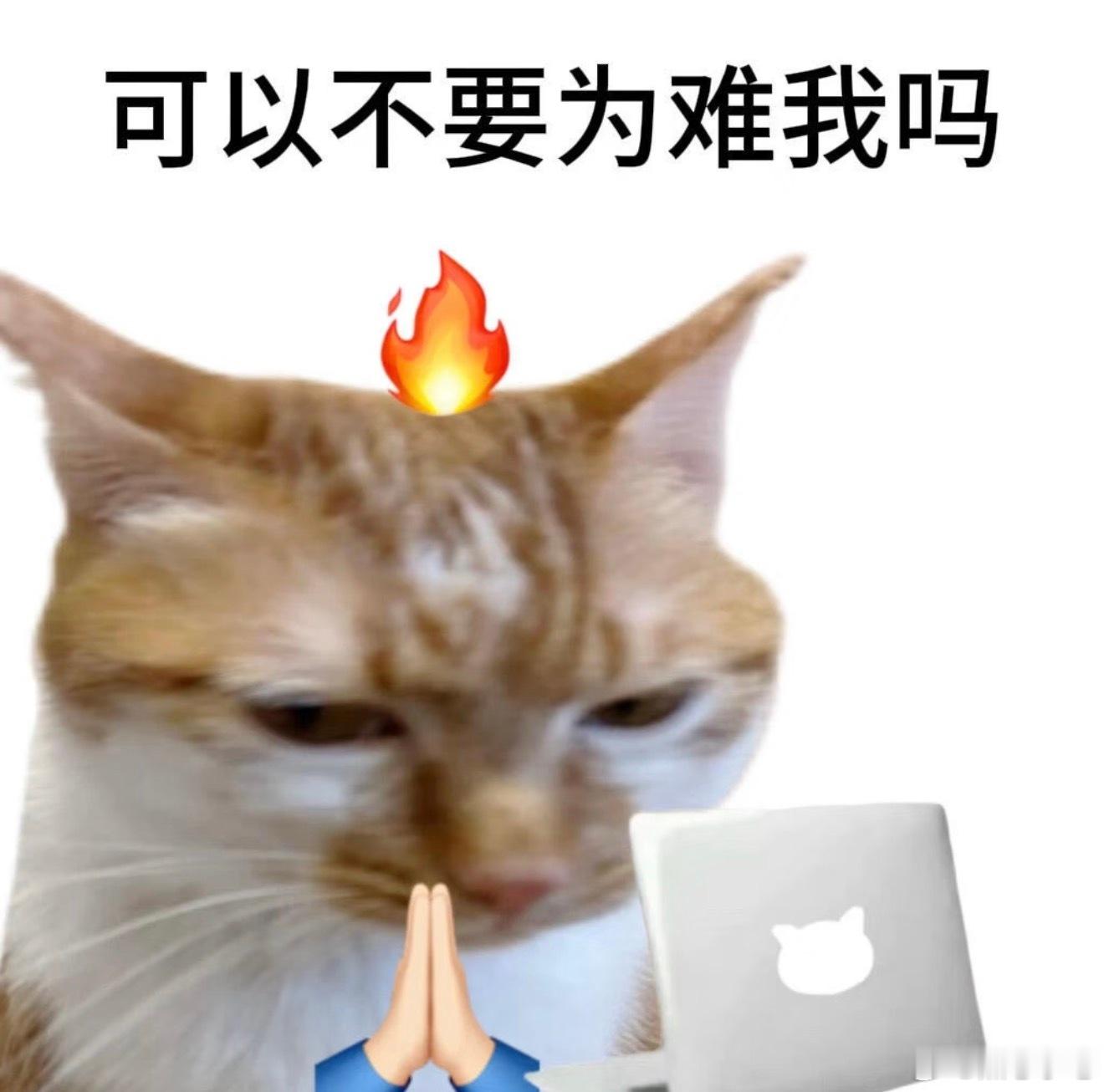 有微信之前人是可以不用一直在线的是这样的！微信要是显示已读就完了微信几乎把每个人