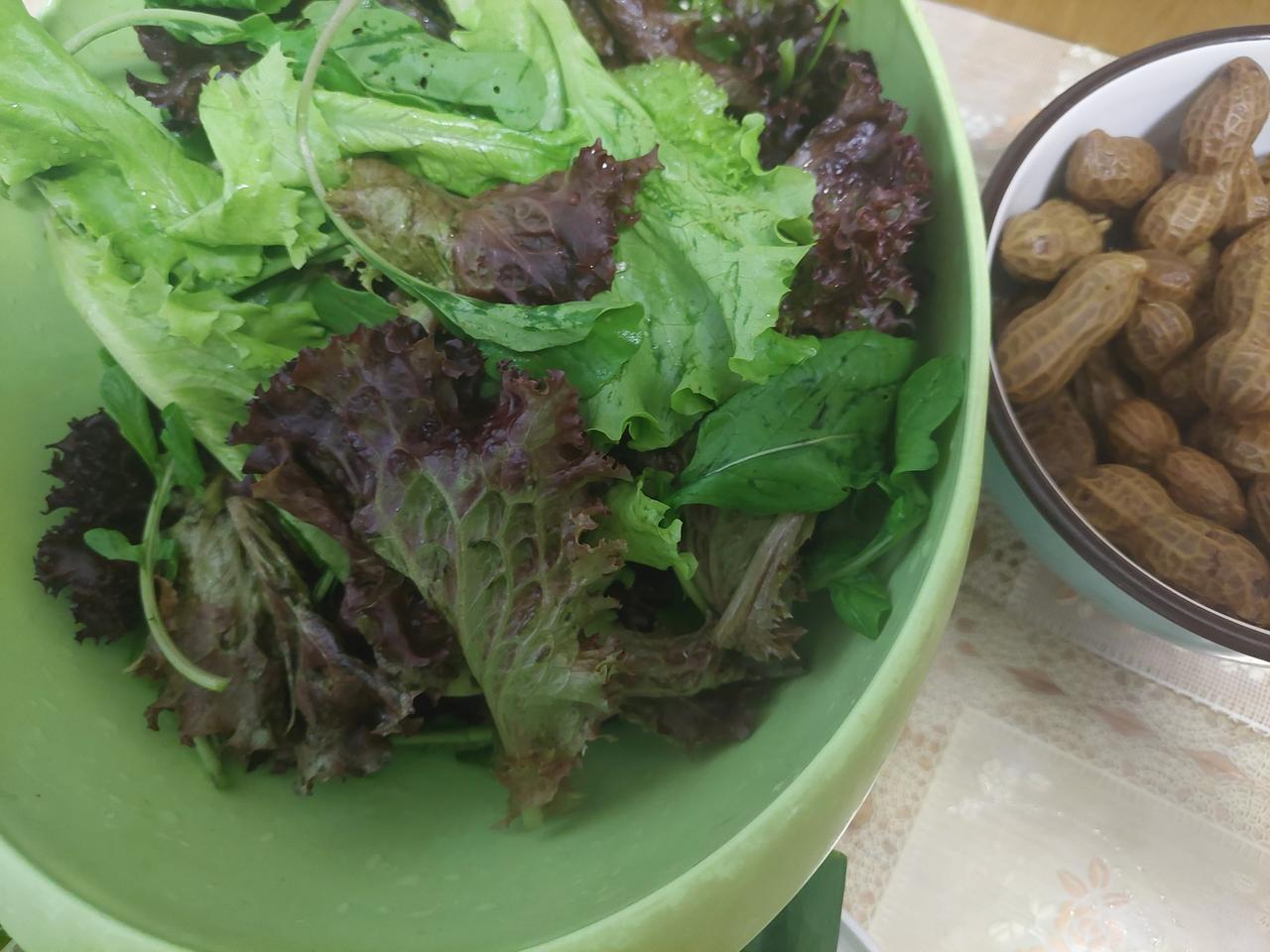 看看吧，这都夏天了，就是吃青。

G哥整回来一堆草吃。

黄瓜粉丝拌凉菜，苦菊、