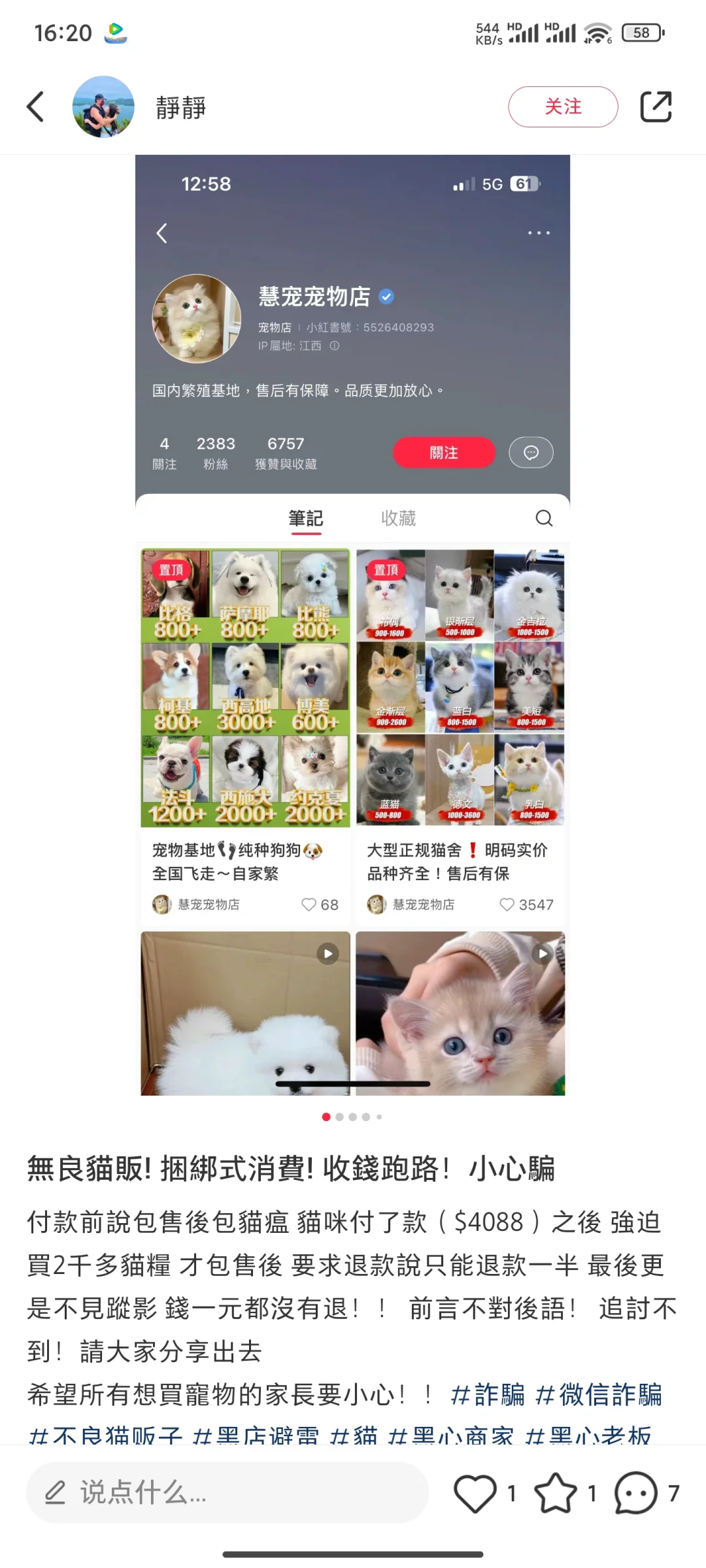 🇭🇰最近常刷到買貓被騙，便宜的才是最貴的