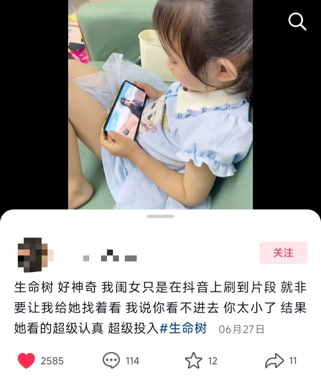 暑假就给孩子看生命树！
