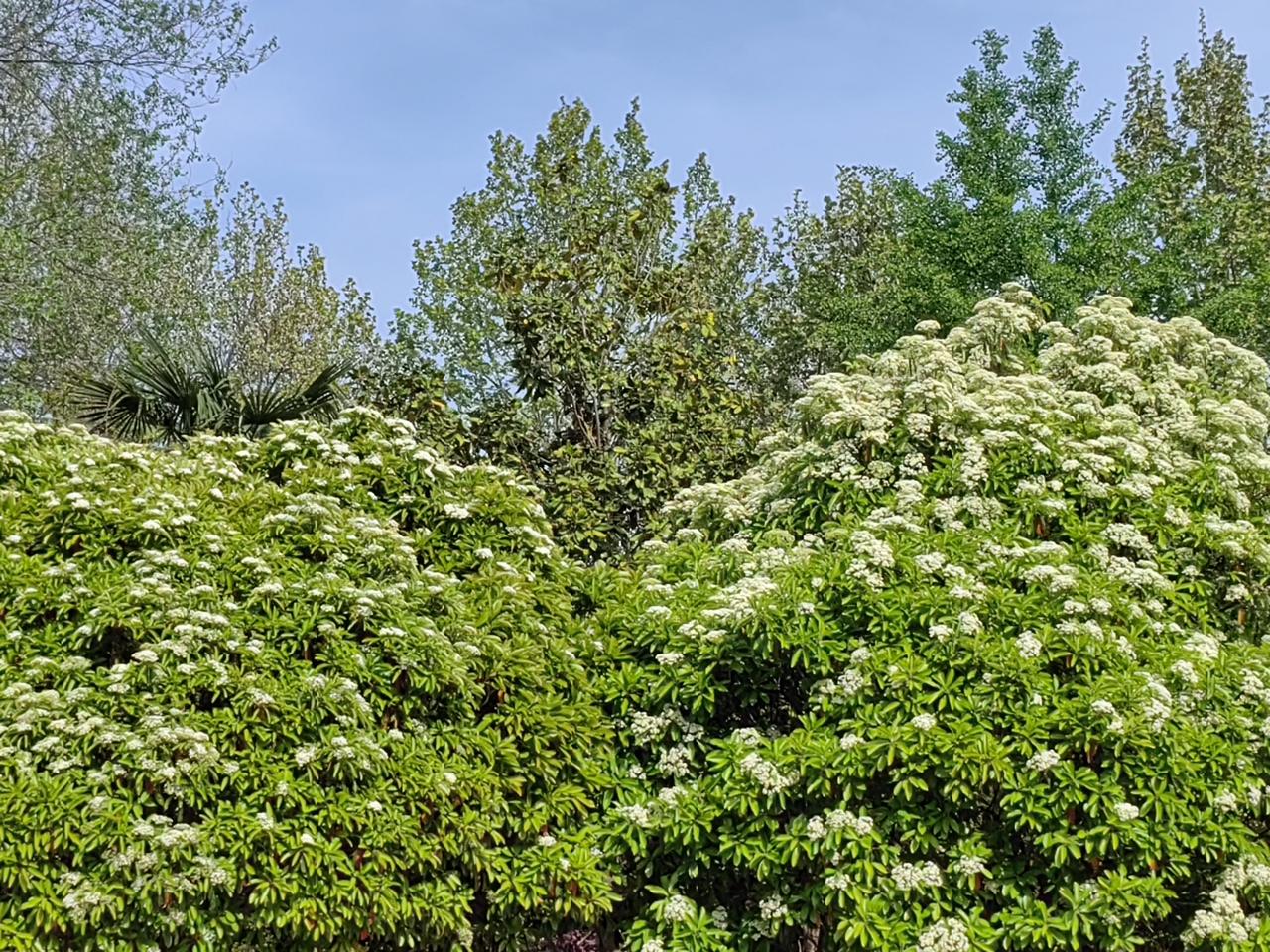 《宋史》把蔡确列入奸臣，蔡确是王安石欣赏举荐的。
蔡确得势后，对王安石做了两件事