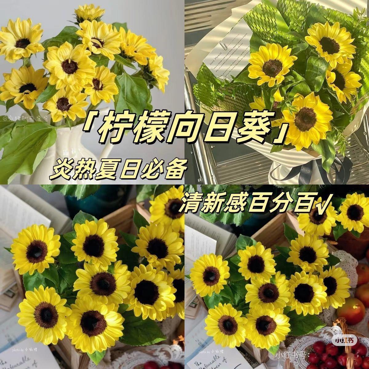 买了柠檬向日葵种子，种种看，阳台上一片🌻🌻🌻🌻也不错。[嘻嘻] ​​​