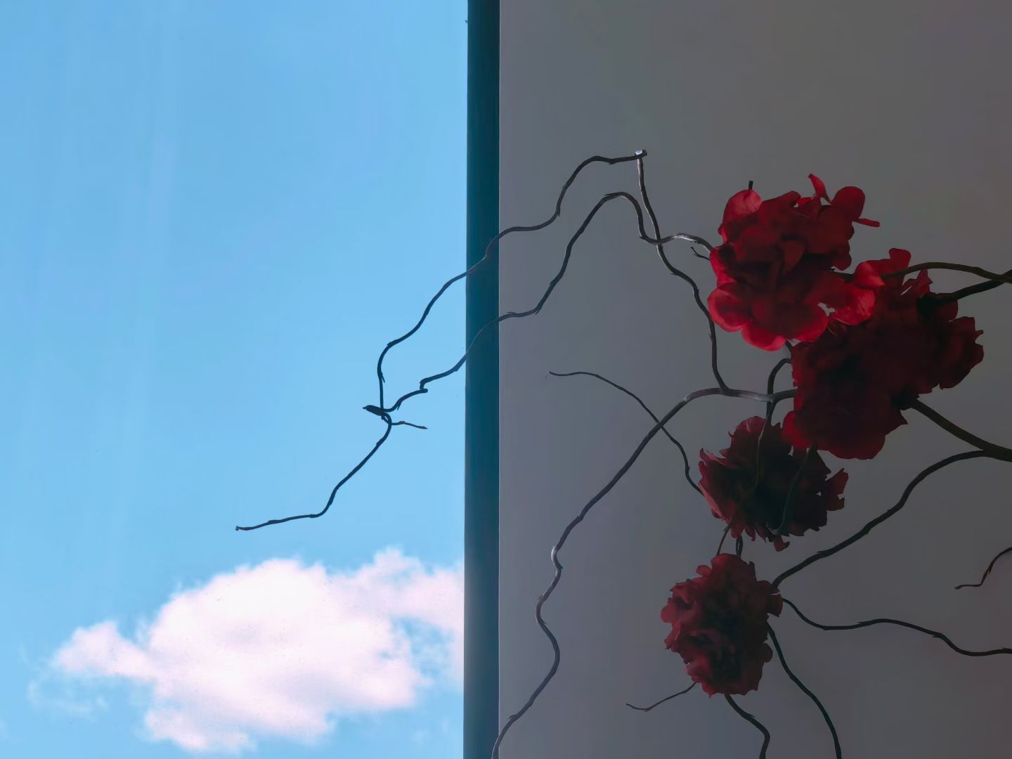 今天和明天，休息天和工作天心境不一样如同我拍的这张图