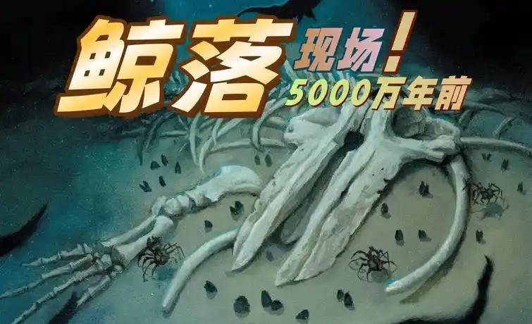 6月13日，据央视新闻直播间报道，昨天，中国🇨🇳科学院深海科学与工程研究所主
