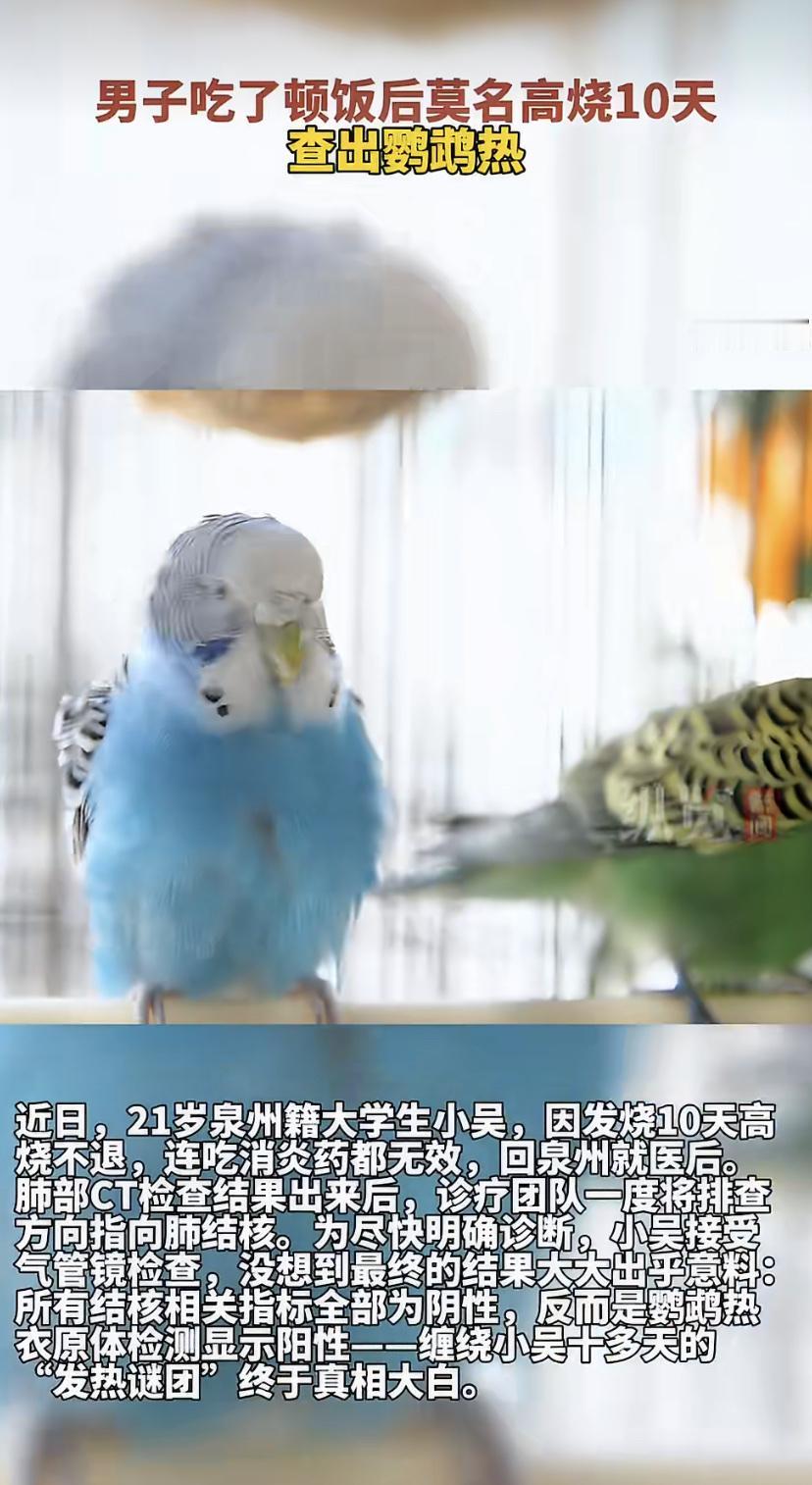 烧了10天!吃药也没用，21岁大学生差点被当成肺结核......
泉州21岁的大
