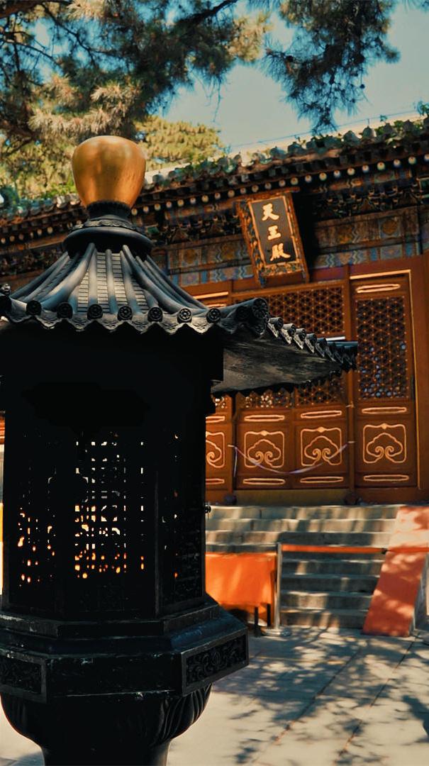 今天是公元2026年4月25日,星期六,农历三月初九.
丙午年 壬辰月 己巳日;