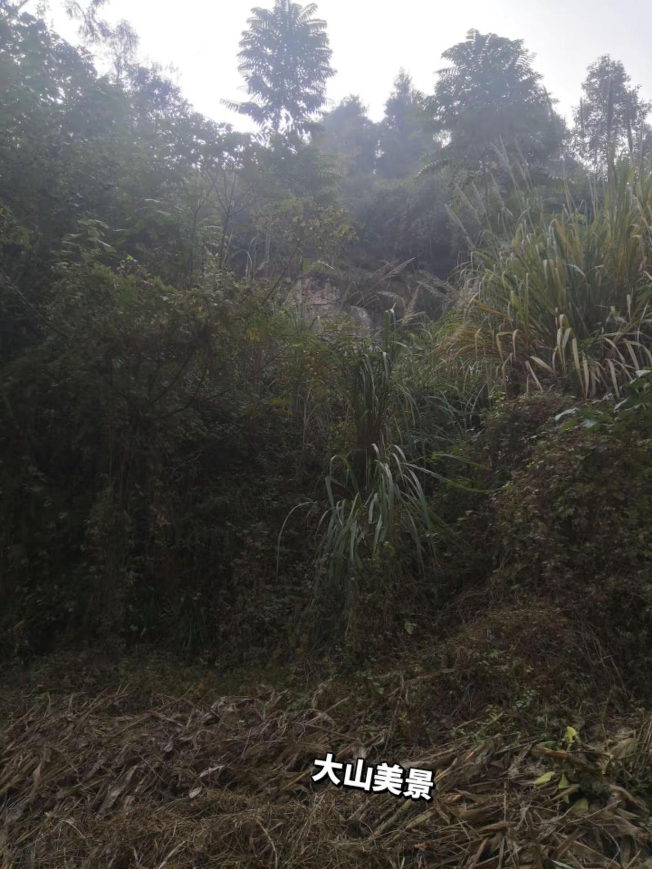 农村生活日常 大山里的生活 乡村风景 农村日常生活 纪录美好生活