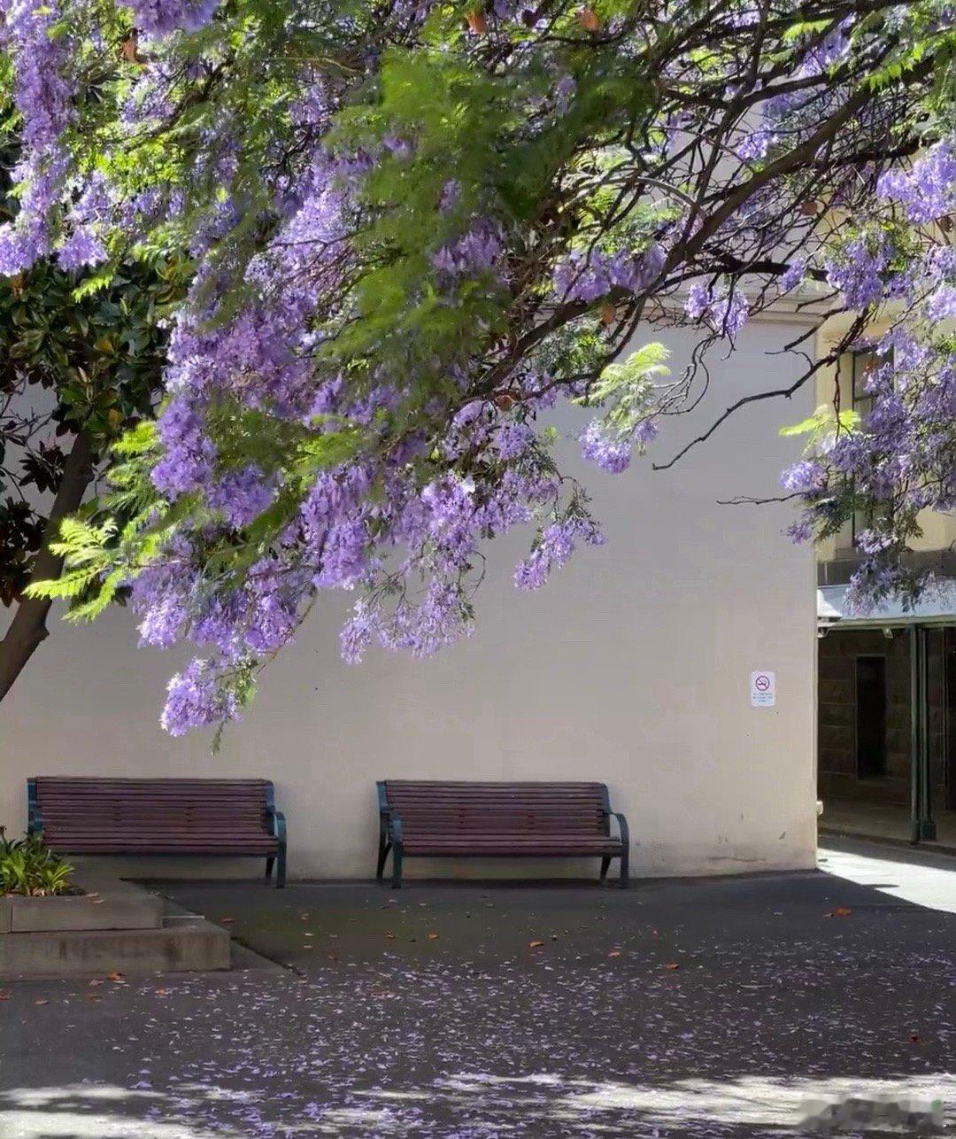 人越假，朋友越多；人越真，圈子越小。有些人交朋友，只为占便宜，先看你有没有利用价