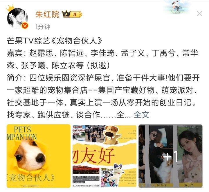 娱乐宠物合伙人拟邀名单宠物合伙人阵容宠物合伙人拟邀名单，好多人 