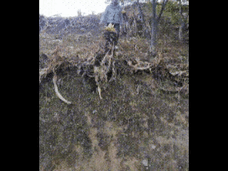 牛仔裤确实好看[心]