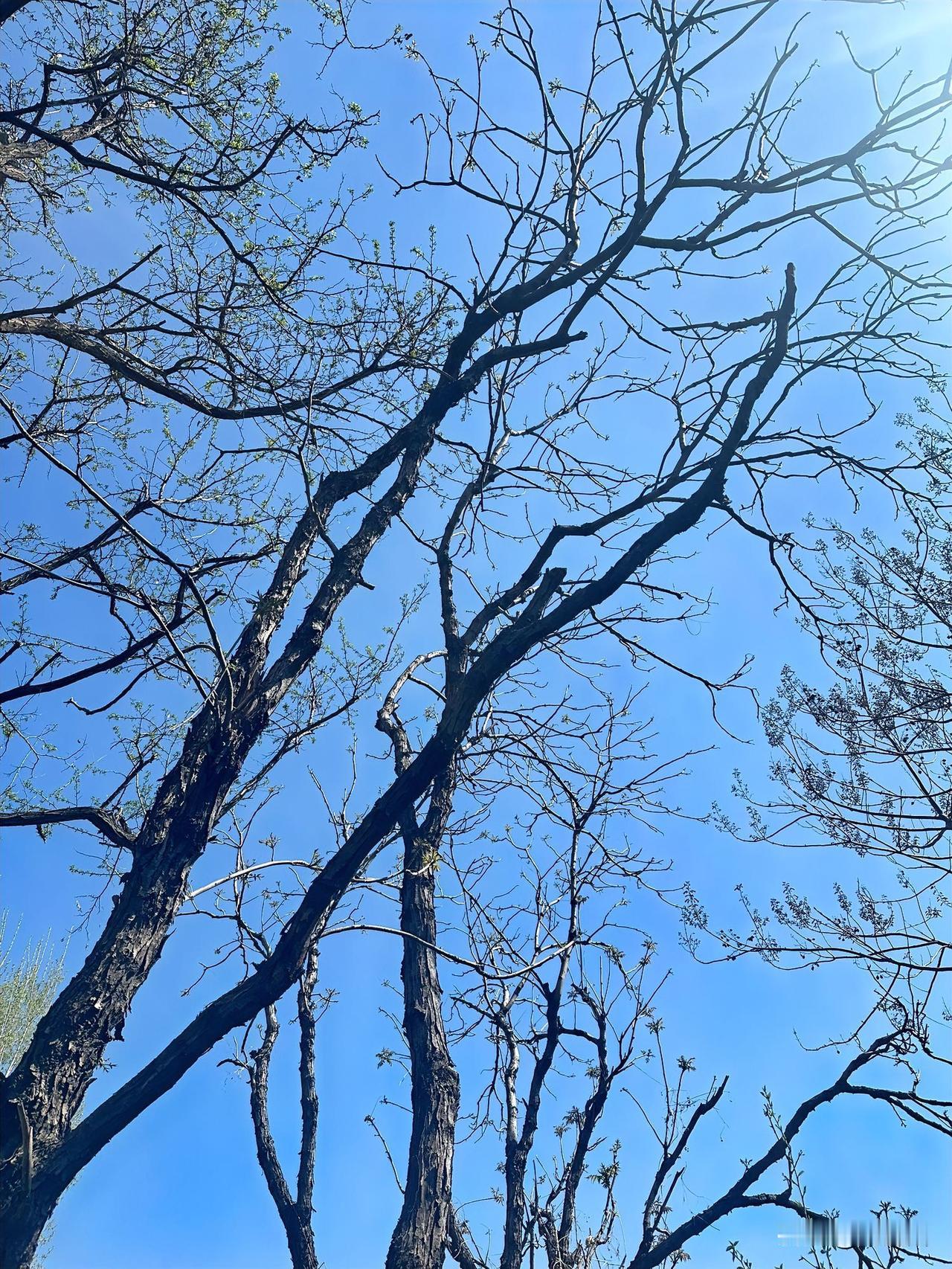 很多人天天喊降房价，其实现在我们最迫切的任务并不是降房价，而是想办法提高老百姓的