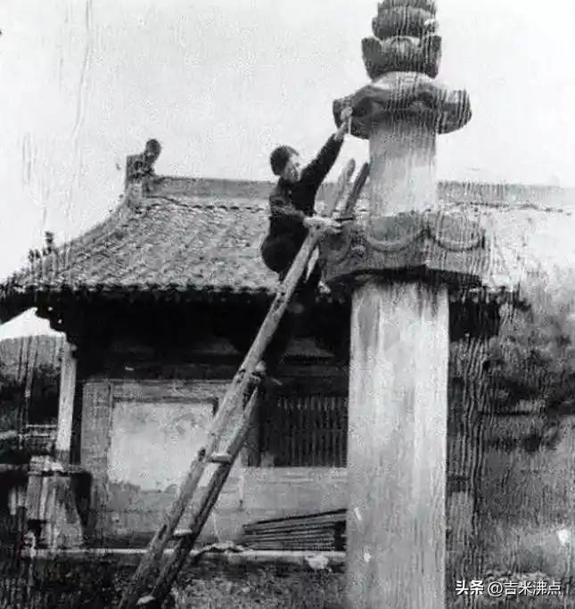 八宝山的墓碑上刻着花环，没人细看纹样，却总爱讲她写过几首诗，那花环到底是谁画的？